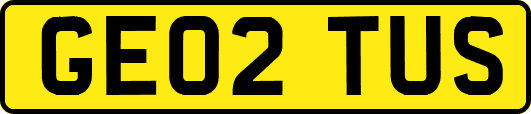 GE02TUS
