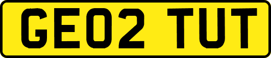 GE02TUT