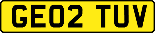 GE02TUV