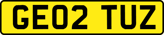 GE02TUZ