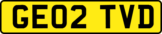 GE02TVD