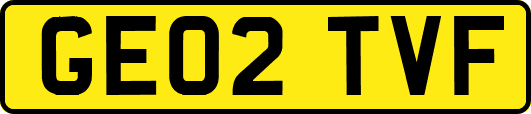 GE02TVF