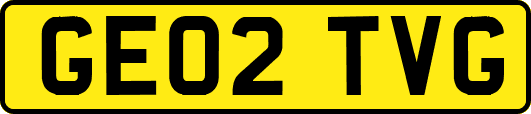 GE02TVG