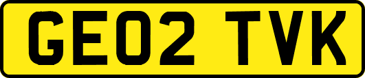 GE02TVK