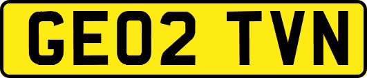 GE02TVN