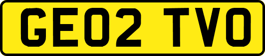 GE02TVO