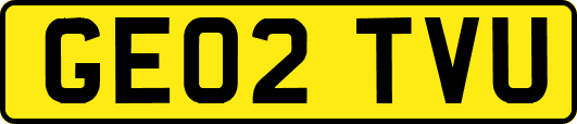 GE02TVU