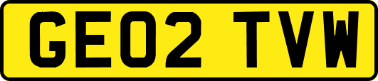 GE02TVW