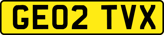 GE02TVX
