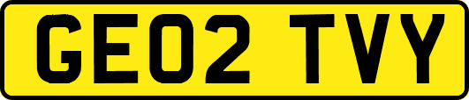 GE02TVY
