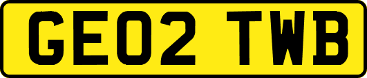 GE02TWB