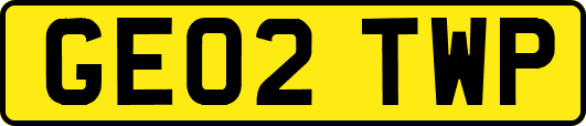 GE02TWP