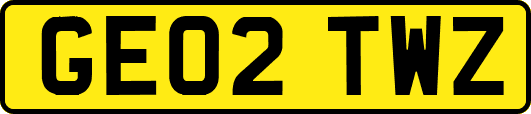 GE02TWZ