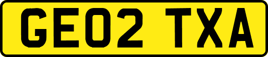GE02TXA