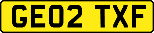 GE02TXF
