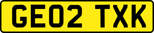 GE02TXK