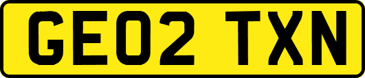 GE02TXN
