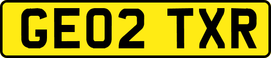 GE02TXR