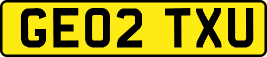 GE02TXU