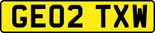 GE02TXW