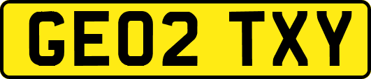 GE02TXY