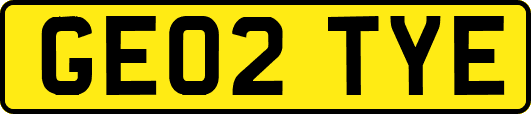 GE02TYE
