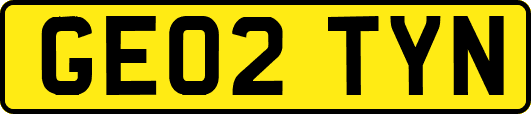 GE02TYN