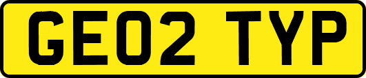GE02TYP