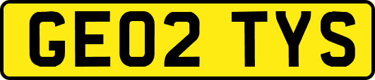 GE02TYS