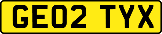 GE02TYX