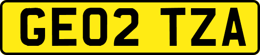GE02TZA