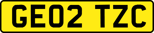 GE02TZC