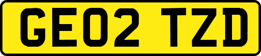 GE02TZD