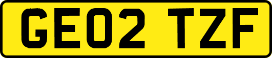 GE02TZF