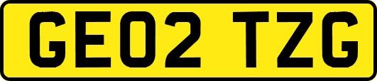 GE02TZG