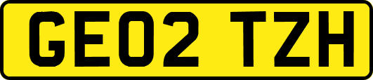 GE02TZH