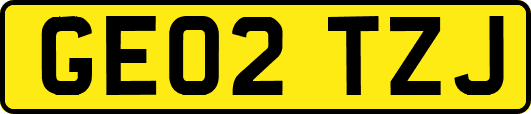GE02TZJ