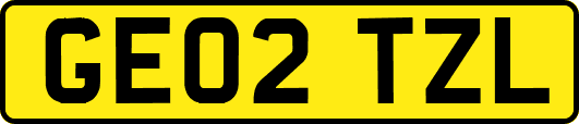 GE02TZL
