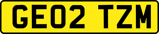 GE02TZM