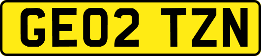 GE02TZN