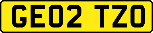 GE02TZO