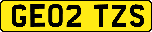 GE02TZS