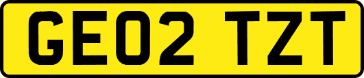 GE02TZT