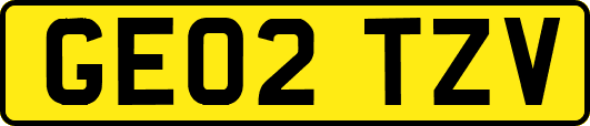 GE02TZV