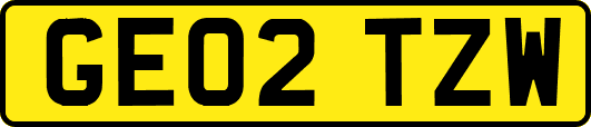 GE02TZW
