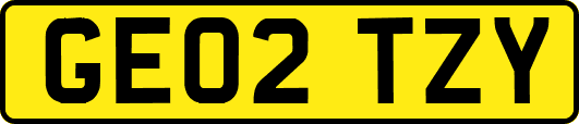 GE02TZY