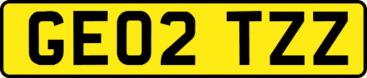 GE02TZZ