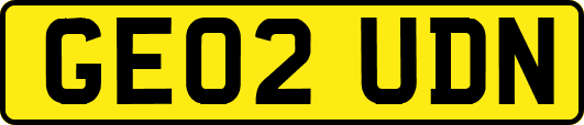GE02UDN