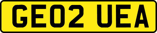 GE02UEA