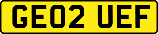 GE02UEF